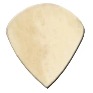 Clayton Exotic Jazz Bone (3 Pack)