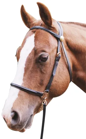 Eureka Led In Bridle