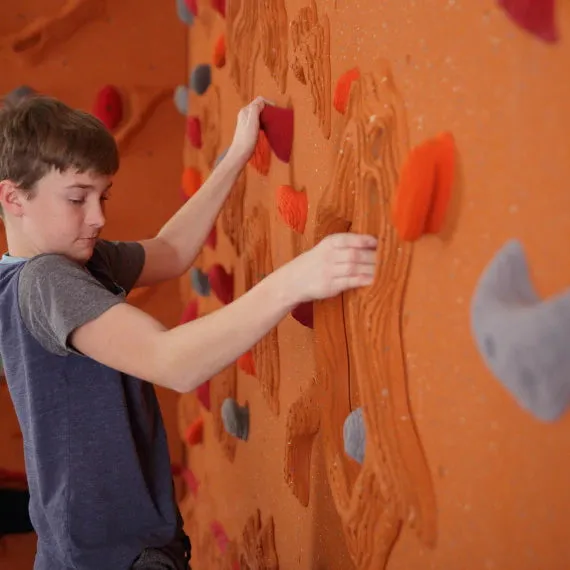 Everlast Climbing 8' H Sandstone Relief Feature™ Climbing Wall