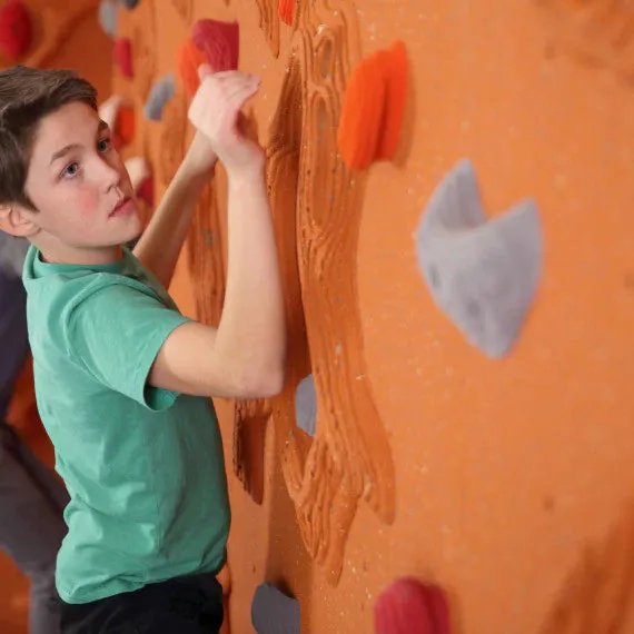 Everlast Climbing 8' H Sandstone Relief Feature™ Climbing Wall