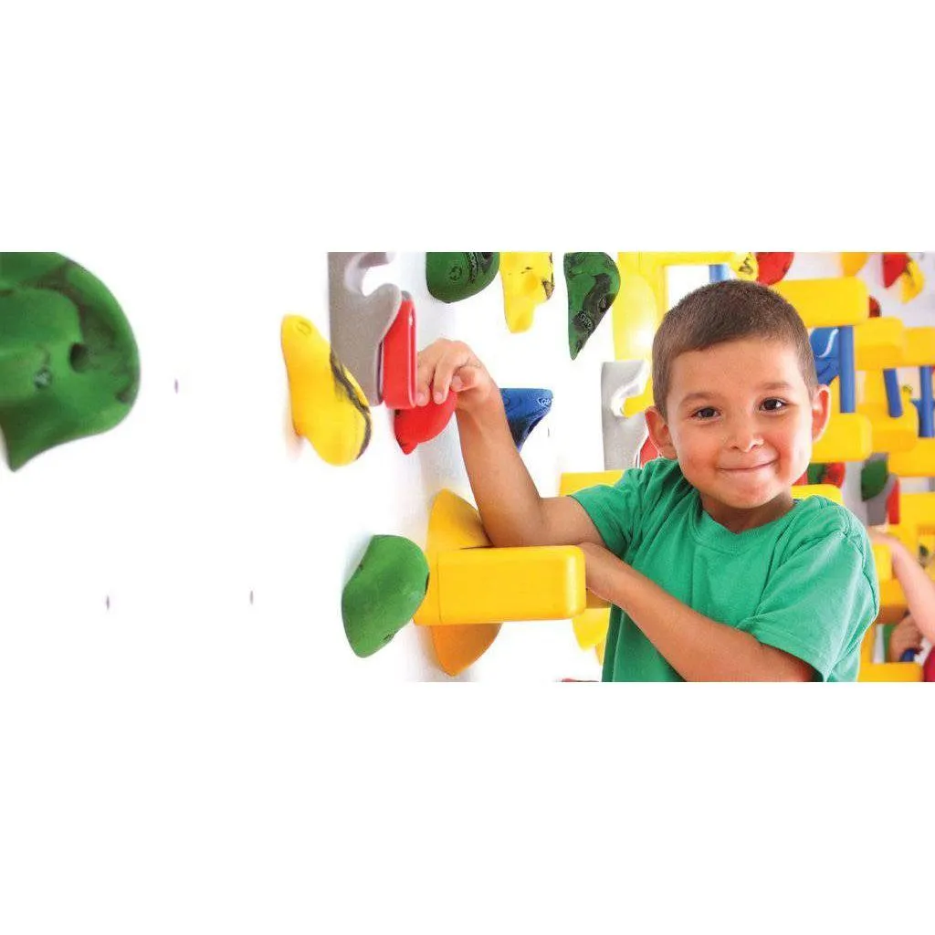 Everlast Climbing Adaptive Climbing Wall