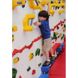 Everlast Climbing Adaptive Climbing Wall