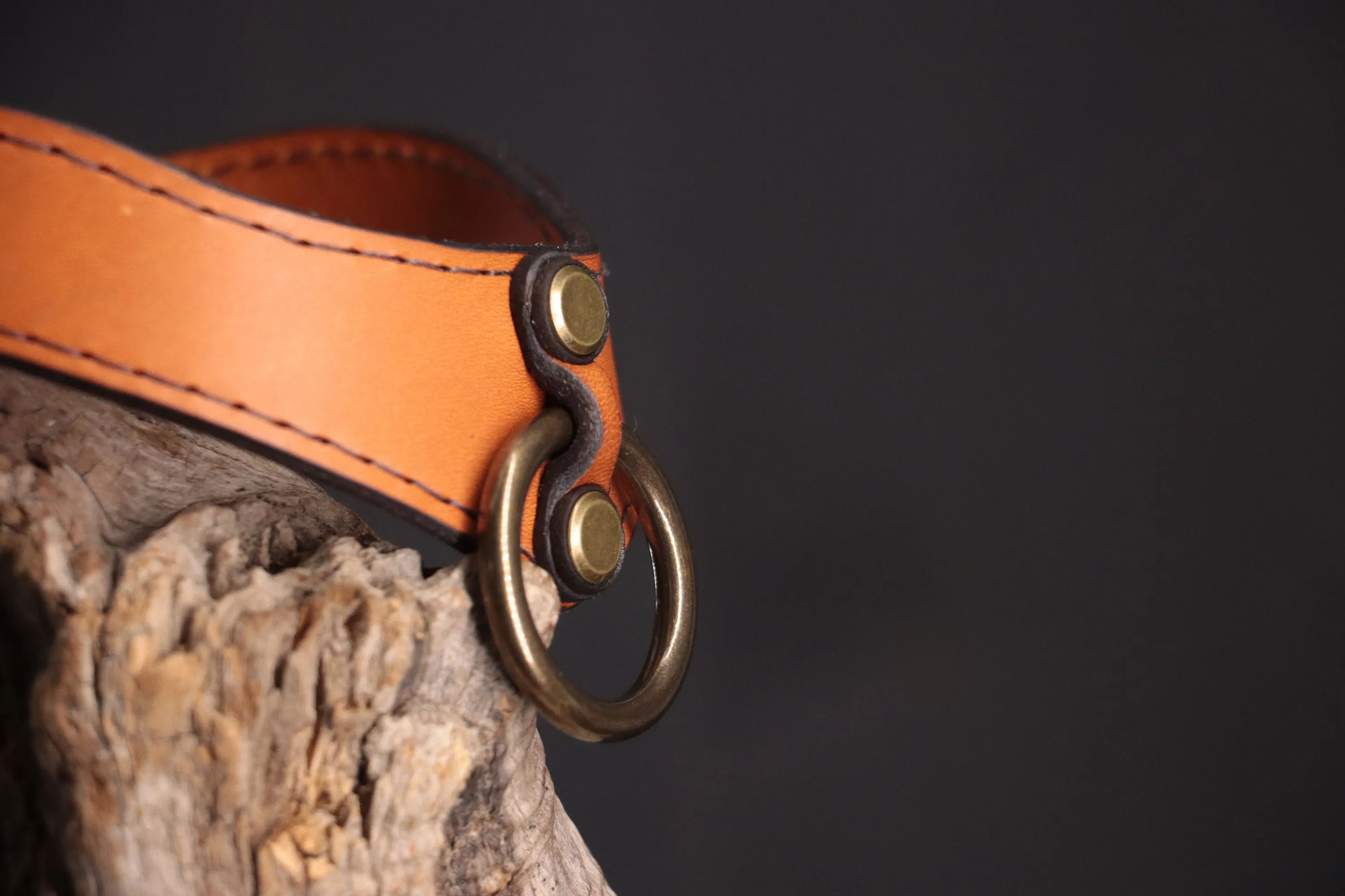 Leather BDSM Collar - Cognac & Bronze