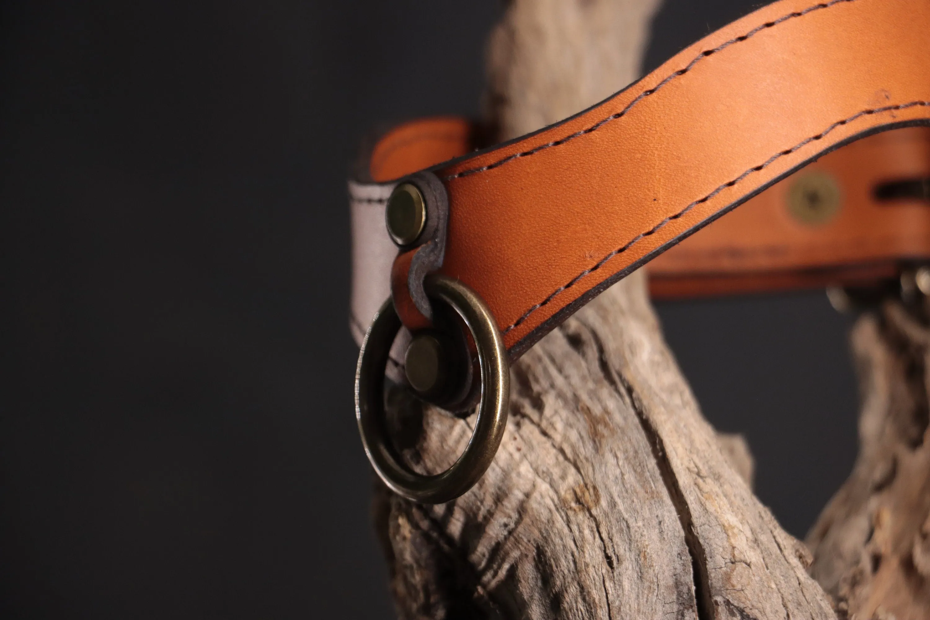Leather BDSM Collar - Cognac & Bronze