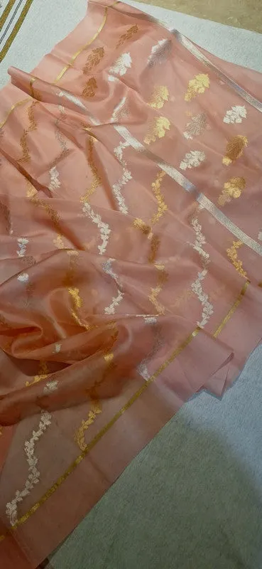Pure Banarasi Iktara Kora Organza Handloom Kadhua Silk Saree