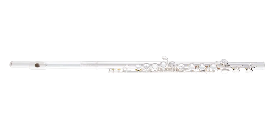 Selmer SFL301 Closed Hole Student Flute w/Offset G